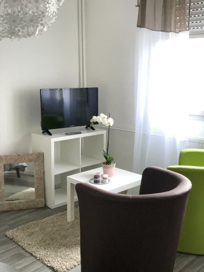 Studio 5 Near Basel Airport Saint-Louis  Zewnętrze zdjęcie
